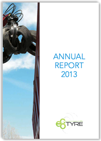 copertina report 2013